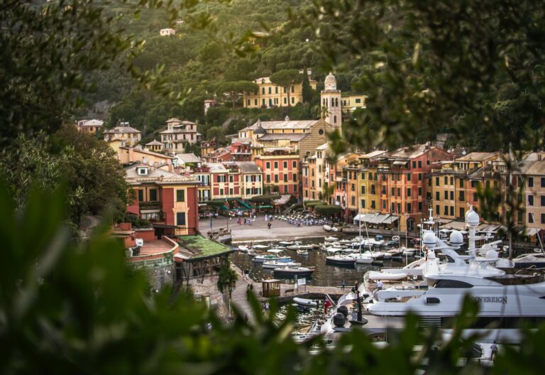 a city with many boats