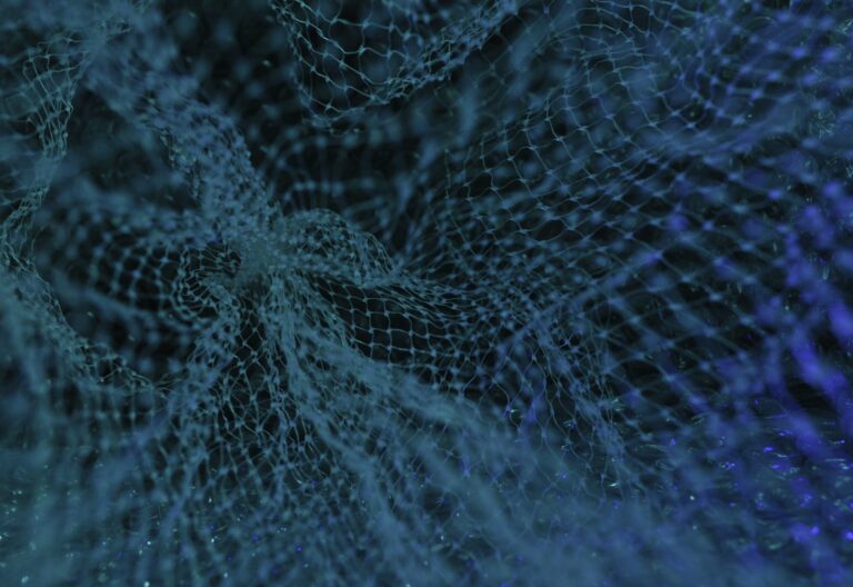 blue and white floral textile